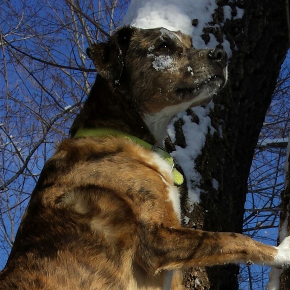 Meet your Posher, Vicki - Picture 1 of 2